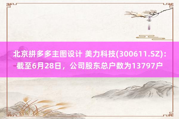 北京拼多多主图设计 美力科技(300611.SZ)：截至6月28日，公司股东总户数为13797户