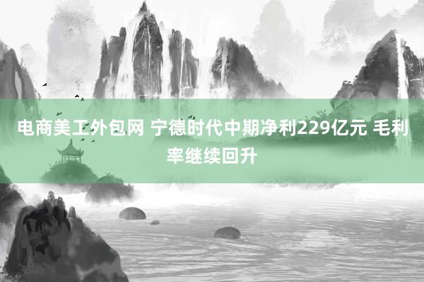 电商美工外包网 宁德时代中期净利229亿元 毛利率继续回升