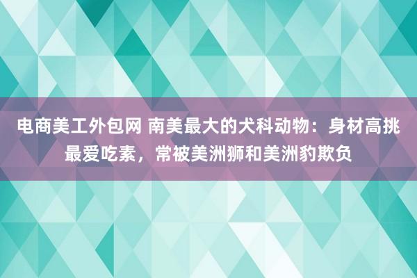 电商美工外包网 南美最大的犬科动物：身材高挑最爱吃素，常被美洲狮和美洲豹欺负