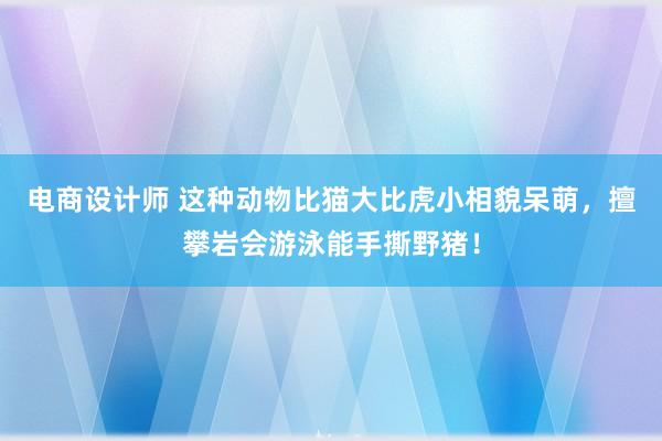 电商设计师 这种动物比猫大比虎小相貌呆萌，擅攀岩会游泳能手撕野猪！