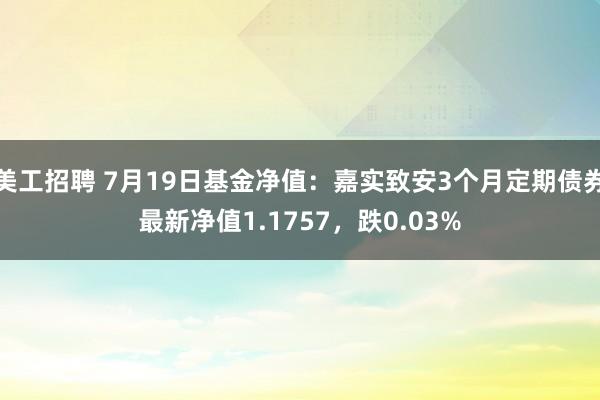 美工招聘 7月19日基金净值：嘉实致安3个月定期债券最新净值1.1757，跌0.03%