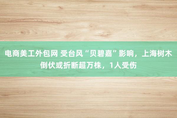 电商美工外包网 受台风“贝碧嘉”影响，上海树木倒伏或折断超万株，1人受伤